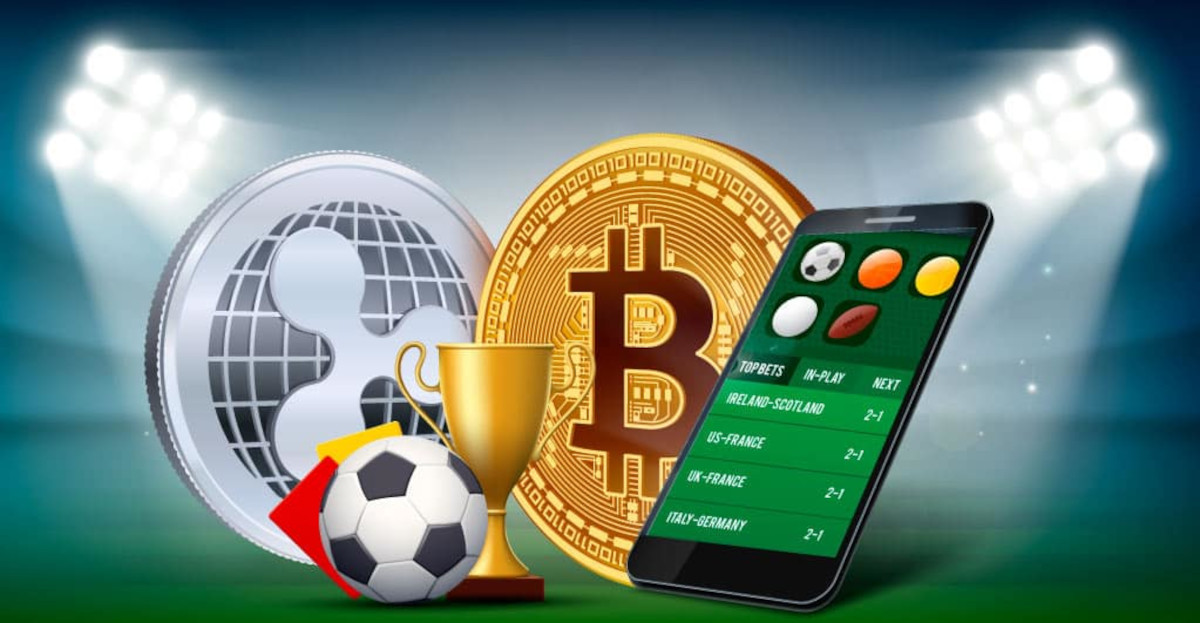 The Ultimate Guide to Online Betting Discovering Hola Bet
