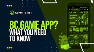 Everything You Need to Know About BC Game Bet