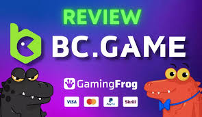 Everything You Need to Know About BC Game Bet