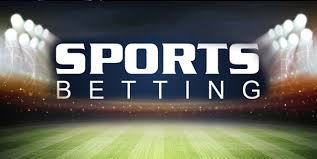 The Ultimate Guide to Sports Betting Maxsport365 Insights