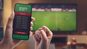 Descubra o Mundo do 917 bet Tudo que Você Precisa Saber